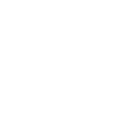 butterfly white transparent 2x removebg preview